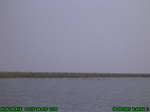1364R0015131_tag.jpg