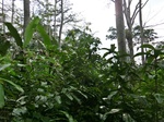 45943CIMG0232.JPG