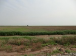53794CIMG0260.JPG