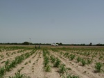 18968P1000812.JPG
