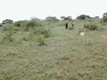 12102GT103_Rangeland.JPG