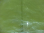 58424CIMG2873.JPG