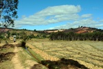 28705P1010722-1.JPG