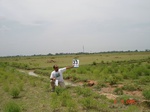 6192033c-irrigated-supplemental-tank-rice-singlecrop.jpg