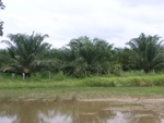 33434RIMG0174.JPG