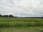 22121DSC00363.JPG