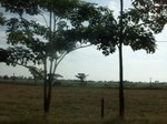 5813100_1461.JPG