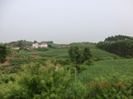 33182CIMG2420.JPG