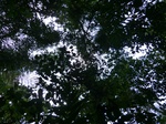 46366CIMG0655.JPG