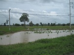 33331IMG_5668.JPG