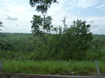 25345P1020190.JPG