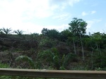 25768P1020187.JPG