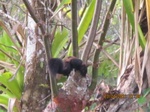 30032IMG_5354.JPG