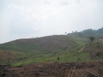 28318IMG_5132.JPG