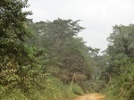 48346CIMG4683.JPG