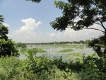 24630DSC00849.JPG