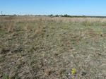 40407WASH20111012GPS.JPG