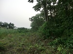 45319CIMG2404.JPG
