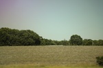 2024-06-17_21-44-28_BCF7E37F-05DC-4E71-90B3-10C631EC194D.jpeg