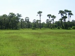 54206117.jpg
