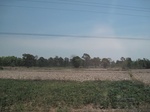 28139IMG_4961.JPG