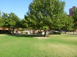 39545P1010161.JPG