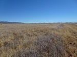 42612P1000717.jpg