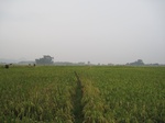 15004IMG_3814.JPG