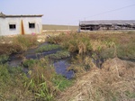 2782 005.jpg