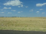 35241DSC02446.JPG