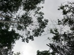 46295CIMG0584.JPG