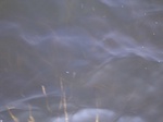 698R0015206.jpg