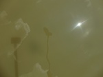 58566CIMG3016.JPG