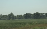 2024-06-17_22-14-51_8E940678-609B-4362-BB24-87F6C4B5FFCC_1_201_a.jpeg
