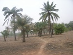 3943RIMG0247.JPG