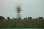 2024-08-05_16-08-58_1480C910-4172-4FB0-B47B-147B2DEAB46E.jpeg