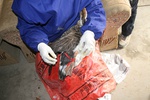 4735IMG_8653.JPG