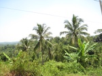 15838IMG_4378.JPG