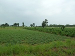 18691P1000529.JPG