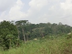 49677CIMG6014.JPG