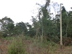 49858CIMG6195.JPG