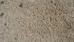 9697DSC01373.JPG