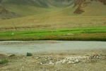 27528DSC_7883.JPG