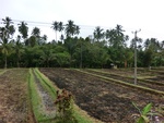 30725CIMG0565.JPG