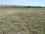 29260HINT20110418E.JPG