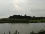 24655DSC00877.JPG