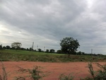 55960CIMG6692.JPG