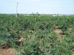 1768722042008(67).JPG
