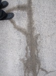 9459IMG_0004.JPG
