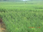 34792CIMG2623.JPG